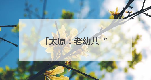 太原：老幼共“托” 幸福多多