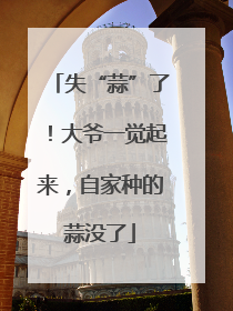 失“蒜”了！大爷一觉起来，自家种的蒜没了