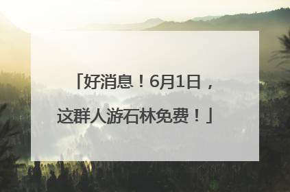 好消息！6月1日，这群人游石林免费！