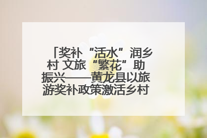 奖补“活水”润乡村 文旅“繁花”助振兴——黄龙县以旅游奖补政策激活乡村振兴新动能