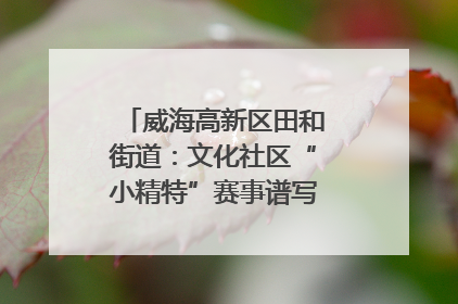 威海高新区田和街道：文化社区“小精特”赛事谱写文化赋能新乐章