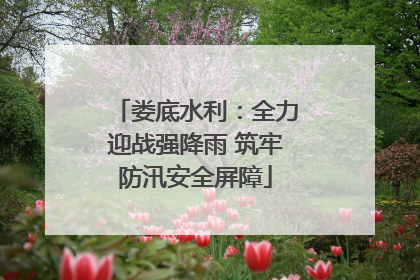 娄底水利：全力迎战强降雨 筑牢防汛安全屏障