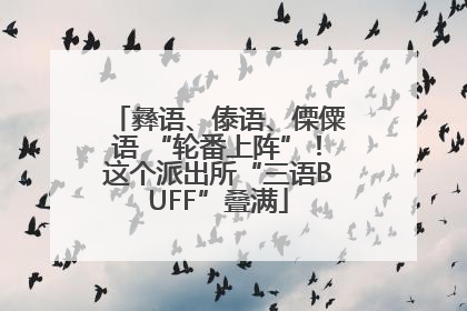 彝语、傣语、傈僳语 “轮番上阵”！这个派出所“三语BUFF”叠满