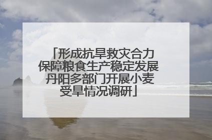 形成抗旱救灾合力 保障粮食生产稳定发展 丹阳多部门开展小麦受旱情况调研
