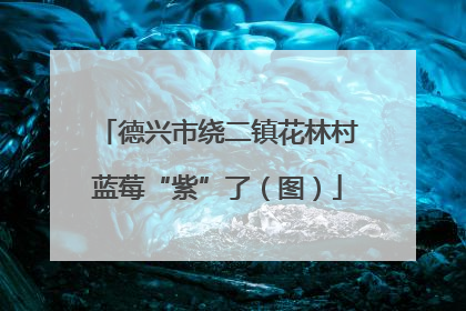 德兴市绕二镇花林村蓝莓“紫”了（图）