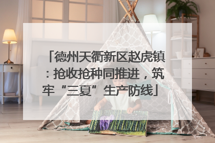 德州天衢新区赵虎镇：抢收抢种同推进，筑牢“三夏”生产防线