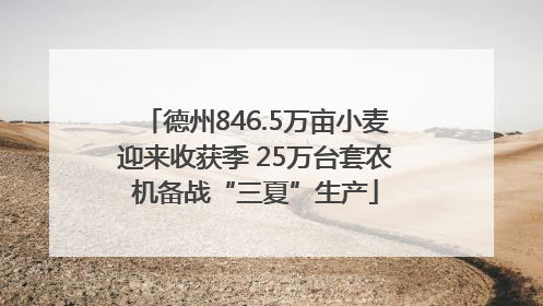 德州846.5万亩小麦迎来收获季 25万台套农机备战“三夏”生产