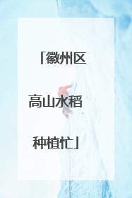徽州区高山水稻种植忙