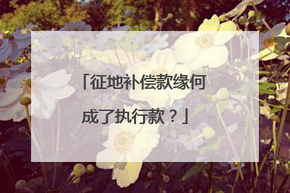 征地补偿款缘何成了执行款？