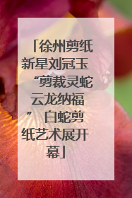 徐州剪纸新星刘冠玉“剪裁灵蛇 云龙纳福” 白蛇剪纸艺术展开幕