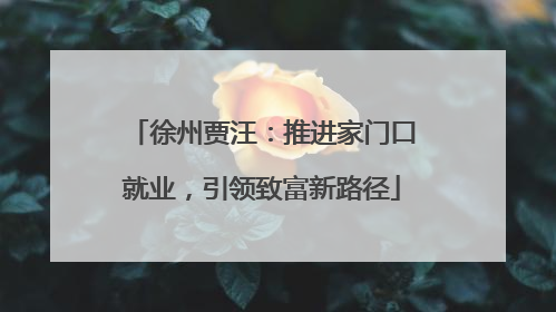徐州贾汪：推进家门口就业，引领致富新路径