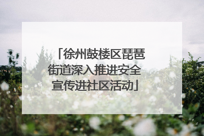 徐州鼓楼区琵琶街道深入推进安全宣传进社区活动