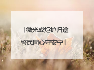 微光成炬护归途 警民同心守安宁