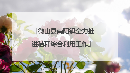 微山县南阳镇全力推进秸秆综合利用工作