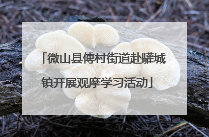 微山县傅村街道赴驩城镇开展观摩学习活动