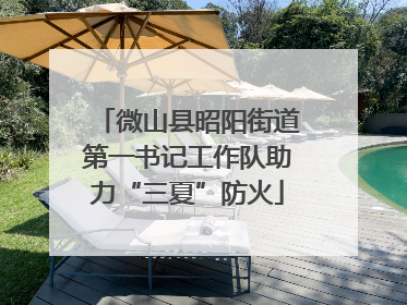 微山县昭阳街道第一书记工作队助力“三夏”防火