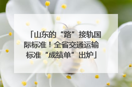 山东的“路”接轨国际标准！全省交通运输标准“成绩单”出炉