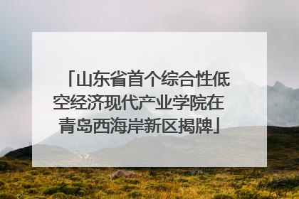山东省首个综合性低空经济现代产业学院在青岛西海岸新区揭牌