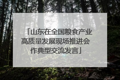 山东在全国粮食产业高质量发展现场推进会作典型交流发言