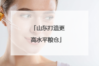 山东打造更高水平粮仓