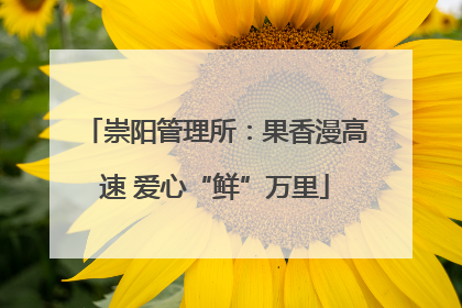 崇阳管理所：果香漫高速 爱心“鲜”万里