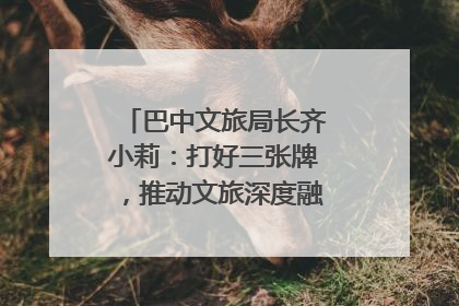 巴中文旅局长齐小莉：打好三张牌，推动文旅深度融合｜文旅局长说