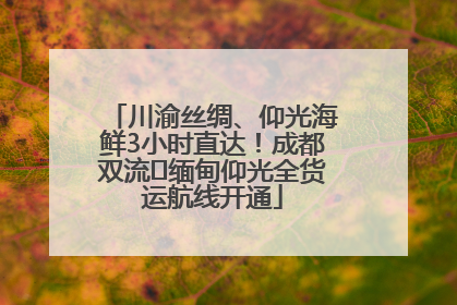 川渝丝绸、仰光海鲜3小时直达！成都双流⇌缅甸仰光全货运航线开通