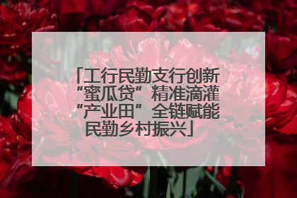 工行民勤支行创新“蜜瓜贷”精准滴灌“产业田”全链赋能民勤乡村振兴