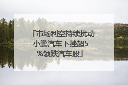 市场利空持续扰动 小鹏汽车下挫超5%领跌汽车股