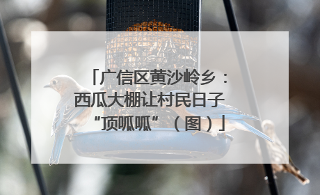 广信区黄沙岭乡：西瓜大棚让村民日子“顶呱呱”（图）