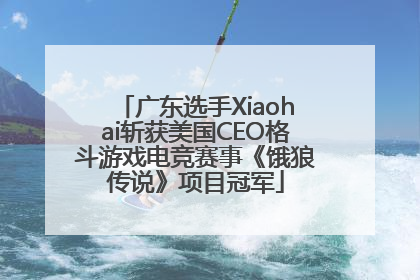 广东选手Xiaohai斩获美国CEO格斗游戏电竞赛事《饿狼传说》项目冠军