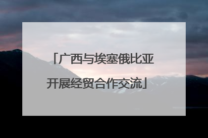 广西与埃塞俄比亚开展经贸合作交流