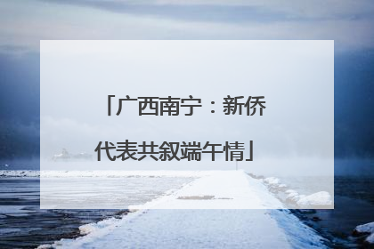 广西南宁：新侨代表共叙端午情