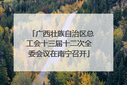 广西壮族自治区总工会十三届十二次全委会议在南宁召开
