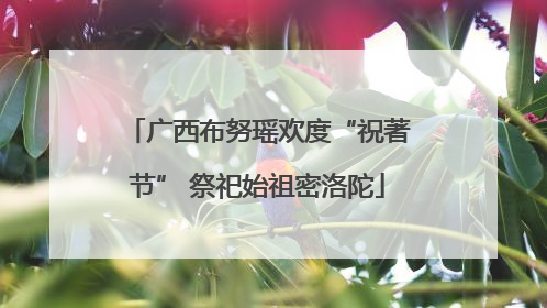 广西布努瑶欢度“祝著节” 祭祀始祖密洛陀