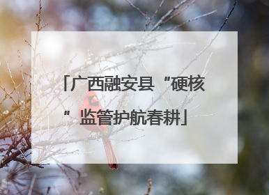 广西融安县“硬核”监管护航春耕