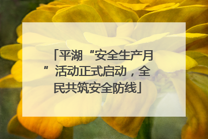 平湖“安全生产月”活动正式启动，全民共筑安全防线