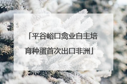 平谷峪口禽业自主培育种蛋首次出口非洲