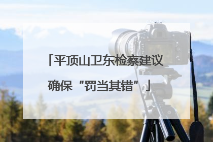 平顶山卫东检察建议确保“罚当其错”