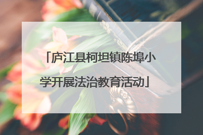 庐江县柯坦镇陈埠小学开展法治教育活动