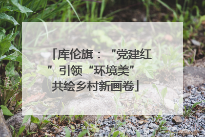 库伦旗：“党建红”引领“环境美” 共绘乡村新画卷