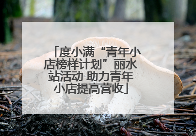 度小满“青年小店榜样计划”丽水站活动 助力青年小店提高营收