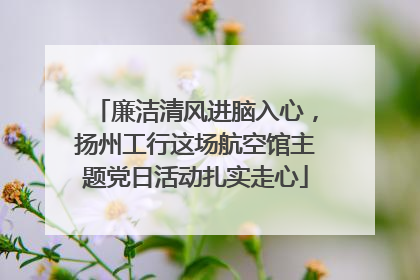 廉洁清风进脑入心，扬州工行这场航空馆主题党日活动扎实走心