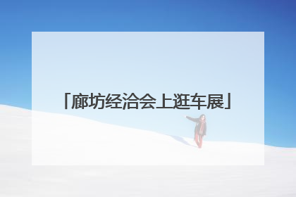 廊坊经洽会上逛车展