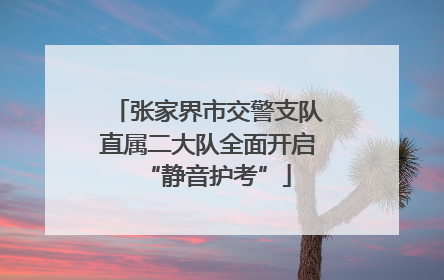 张家界市交警支队直属二大队全面开启“静音护考”