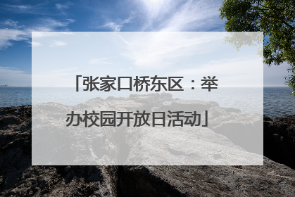 张家口桥东区：举办校园开放日活动
