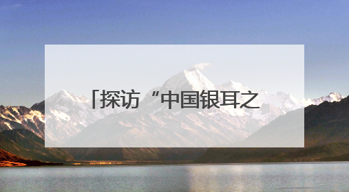 探访“中国银耳之乡”巴中通江：一朵“小银耳”成为富民兴县“大产业”