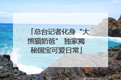 总台记者化身“大熊猫奶爸” 独家揭秘国宝可爱日常