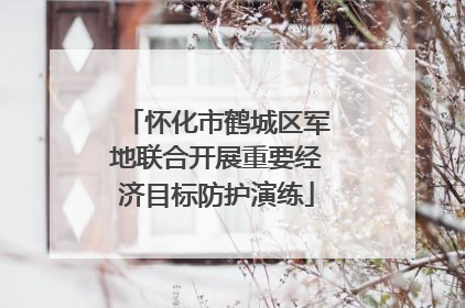 怀化市鹤城区军地联合开展重要经济目标防护演练