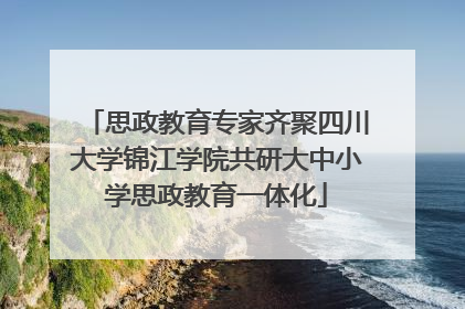 思政教育专家齐聚四川大学锦江学院共研大中小学思政教育一体化